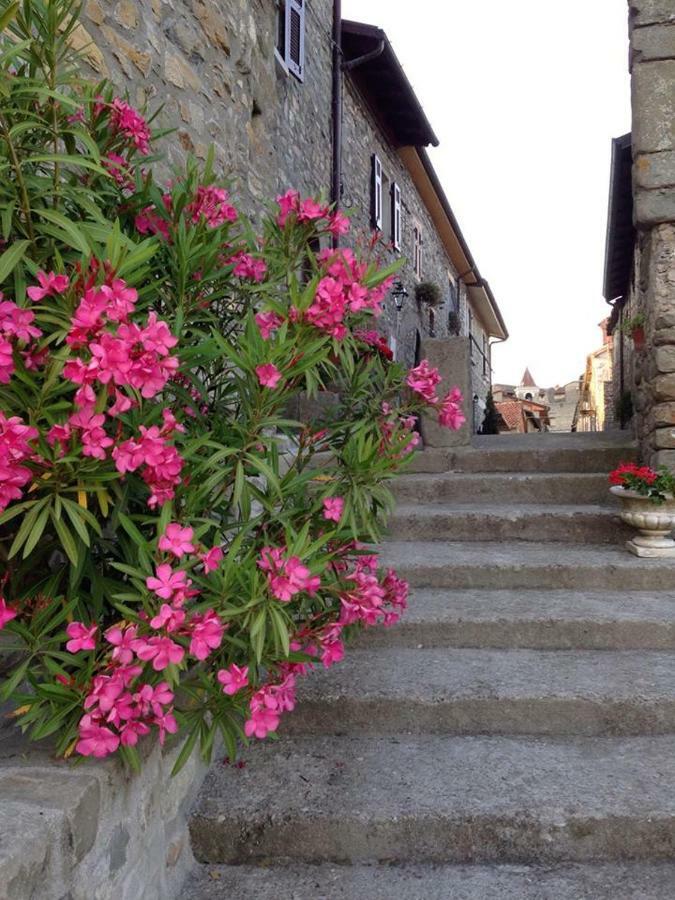 Mini Appartamenti Nonna Nella Barbarasco Luaran gambar